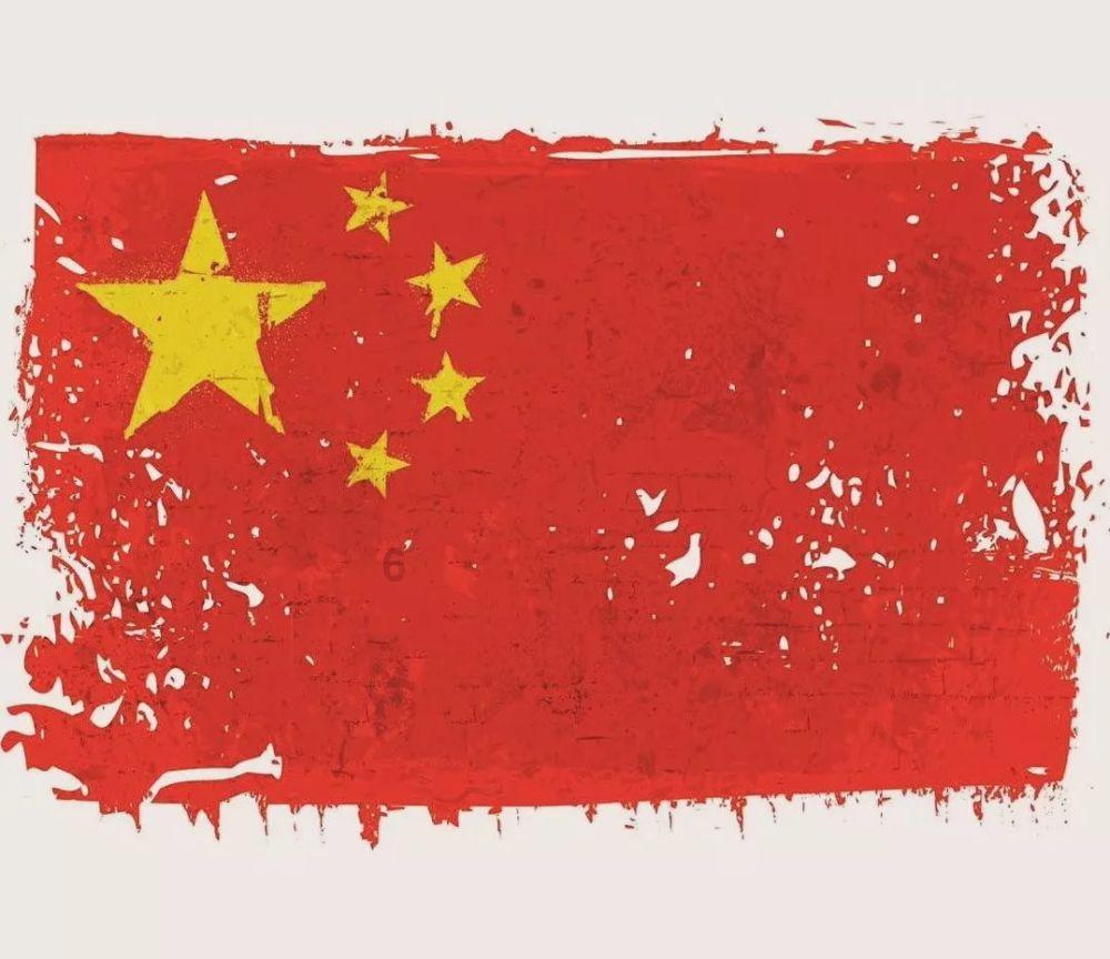 奥利维亚收养猫